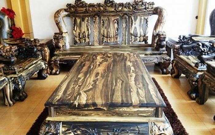 Bàn ghế gỗ mun ngàn tuổi, nặng cả tấn, giá tiền tỷ.