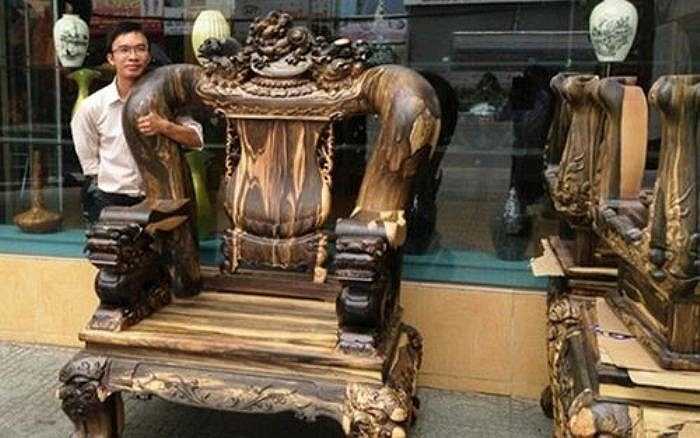 Kích thước lớn hơn cả người.