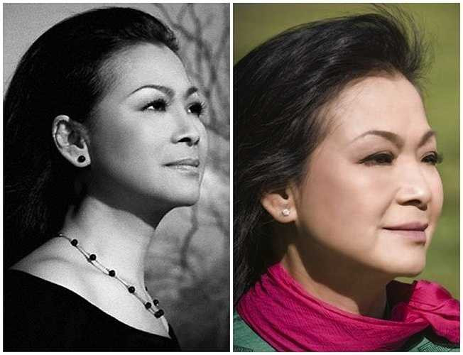 Là một trong những ca sỹ hoạt động ở hải ngoại thế hệ đầu tiên, Khánh Ly được coi là giọng ca tiêu biểu nhất của tân nhạc Việt Nam. 