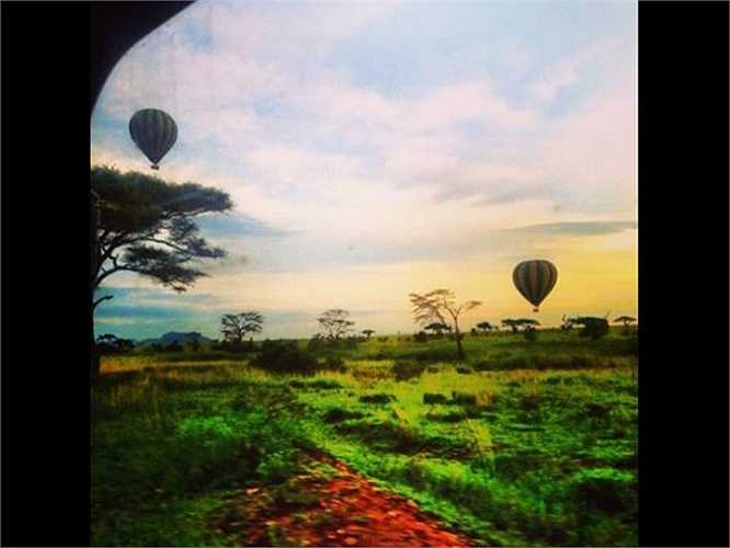 Các siêu giàu sẵn sàng chi 80.000 USD (khoảng 1,7 tỷ đồng) để có một chuyến đi săn trong ba tuần bằng máy bay phản lực tư nhân tại châu Phi, được ăn các món do đầu bếp hàng đầu nấu, ngủ trong lều có hai phòng ngủ và phòng tắm, được cưỡi khinh khí cầu và uống rượu sâm banh suốt cả ngày.