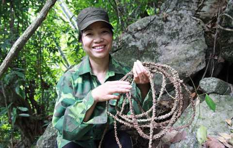 Lương y Hoàng Tuyết Minh và một loài thảo dược kỳ quái