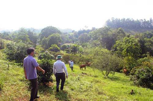 Tuy nhiên, theo khẳng định của lãnh đạo xã Sơn Thọ, đây chính là con đường mà người dân xóm 6 dùng để đi tới cầu treo. Tuy nhiên, theo khẳng định của lãnh đạo xã Sơn Thọ, đây chính là con đường mà người dân xóm 6 dùng để đi tới cầu treo.