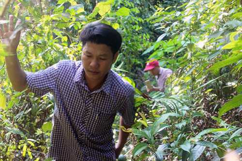 Muốn đi được con đường này, phải vượt qua những ngọn đồi cao, cây cối rậm rạp. Muốn đi được con đường này, phải vượt qua những ngọn đồi cao, cây cối rậm rạp.