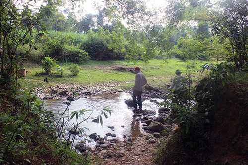 Đi hết 1 km đường rừng, người dân còn phải băng qua 2 khe nước mới tới được cầu treo. Đi hết 1 km đường rừng, người dân còn phải băng qua 2 khe nước mới tới được cầu treo.