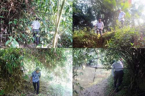 Đường dẫn tới cầu treo chỉ hợp cho những ai muốn có sở thích trèo đèo lội suối. Đường dẫn tới cầu treo chỉ hợp cho những ai muốn có sở thích trèo đèo lội suối.