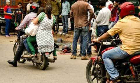 Con trăn đã gây được sự chú ý của nhiều người