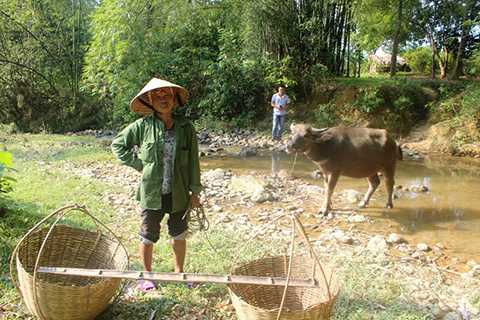 Báo cáo của ông Lương Phan Kỳ không nhắc tới chuyến thực địa của Sở GTVT vừa qua do PGĐ Bùi Đức Đại dẫn đầu. Mặc dù có cán bộ địa chính xã dùng dao phát rừng để đi nhưngkhông thể đến được các hộ dân cuối. Chuyến thực địa đã chứng minh một việc, người dân phía trong xóm 6 không thể đi cầu Khe Tây, trừ khi băng rừng lội suối.