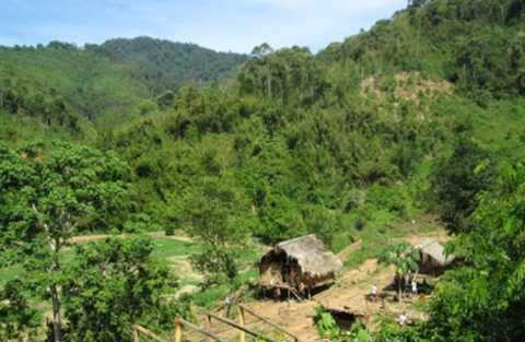 Ảnh minh họa Ảnh minh họa