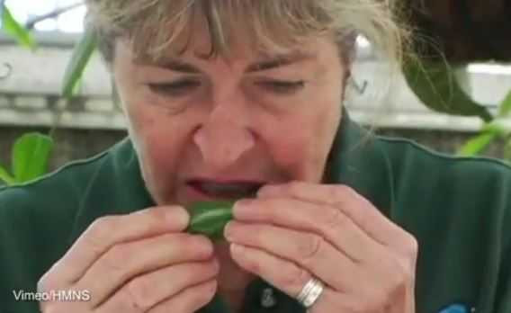 Ăn ớt 3 lần mỗi tuần sẽ giúp bạn tăng cường tuần hoàn máu, giảm căng thẳng và ngủ ngon.