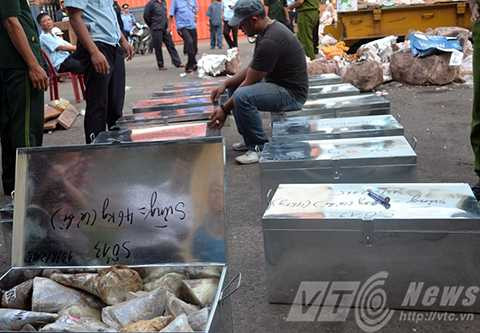 Đà Nẵng, sừng tê giác, ngà voi, cảng Tiên Sa, buôn lậu, Hải quan, Công an