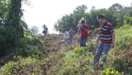 Con đường từ nhà ông Chủ tịch UBND đi vào các hộ dân “bỗng dưng” được phát quang khác hẳn với ba ngày trước đó