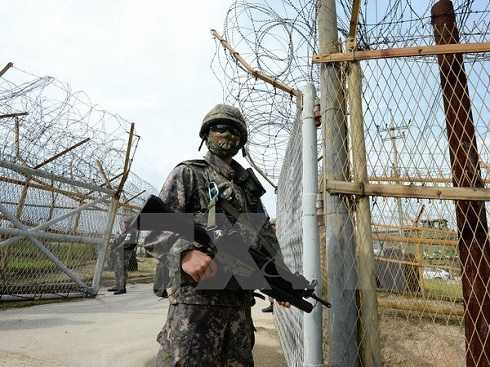 Binh sỹ Hàn Quốc gác gần hiện trường vụ nổ mìn tại khu phi quân sự giữa hai miền Triều Tiên