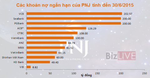 PNJ chủ yếu vay ngắn hạn tại các ngân hàng 