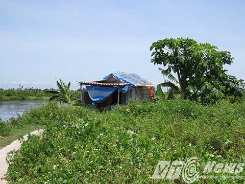 Khu đất này trước đây là nhà ông Quý, đã bị đoàn cưỡng chế đập phá ngày 5/1/2015, giờ chỉ còn là đóng đất, cỏ mọc um tùm - Ảnh MK Khu đất này trước đây là nhà ông Quý, đã bị đoàn cưỡng chế đập phá ngày 5/1/2015, giờ chỉ còn là đóng đất, cỏ mọc um tùm - Ảnh MK