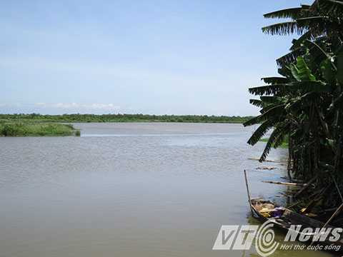 Hàng chục héc ta đầm vùng gia đình đang chờ ông Vươn, ông Quý trở về cải tạo lại để nuôi trồng thủy sản - Ảnh MK Hàng chục héc ta đầm vùng gia đình đang chờ ông Vươn, ông Quý trở về cải tạo lại để nuôi trồng thủy sản - Ảnh MK