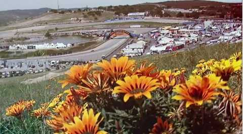 Tìm hiểu giải đua NASCAR - giải đua 'nguy hiểm' nhất thế giới