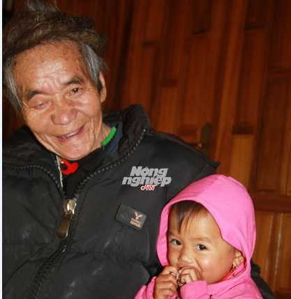 Giờ đây lão Páo có con đàn cháu đống, nhưng không ai có mái tóc như lão Giờ đây lão Páo có con đàn cháu đống, nhưng không ai có mái tóc như lão