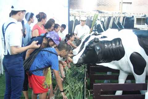 Ngày hội Cao Khỏe là sự kiện nằm trong chuỗi hoạt động giới thiệu đến người tiêu dùng sữa Dutch Lady Cao Khỏe