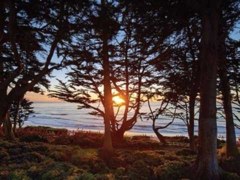 Vẻ đẹp của bình minh trên căn biệt thự