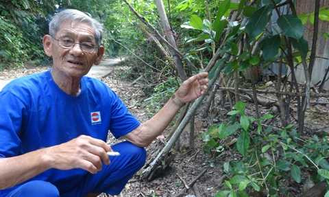 Ông Hai Cua đang kể chuyện về ngôi mộ Hiếu Túc Phu nhân và bài sấm bí ẩn Ông Hai Cua đang kể chuyện về ngôi mộ Hiếu Túc Phu nhân và bài sấm bí ẩn