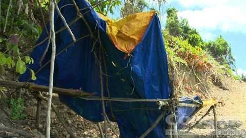 Lâm tặc dựng lán giữa rừng để khai thác dài ngày. Lâm tặc dựng lán giữa rừng để khai thác dài ngày.