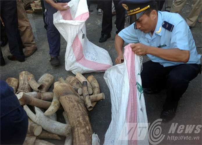 Đây là vụ buôn lậu ngà voi số lượng lớn