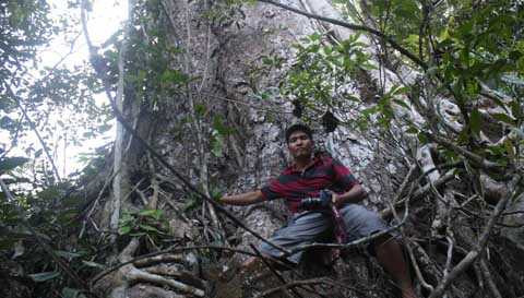 Nghiến khổng lồ trên núi Răng Cưa