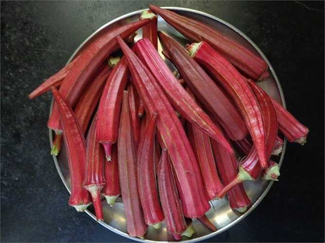 Một loại quả vừa giống đậu giữa giống ớt