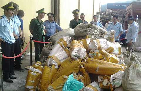 ngà voi, lại bắt giữ, buôn lậu, quốc cấm, cảng Tiên Sa, Đà Nẵng, Công an, Hải quan