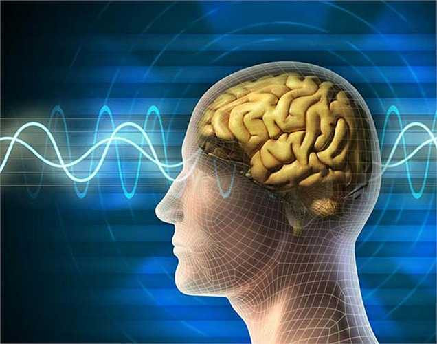 Nhức đầu: Nhức đầu liên tục là một trong những triệu chứng phổ biến nhất của u não. Để biết chính xác hơn bạn nên kiểm tra các triệu chứng về tần số và cường độ của các cơn đau đầu. Nhức đầu buổi sáng sớm là một trong những triệu chứng đặc trưng.