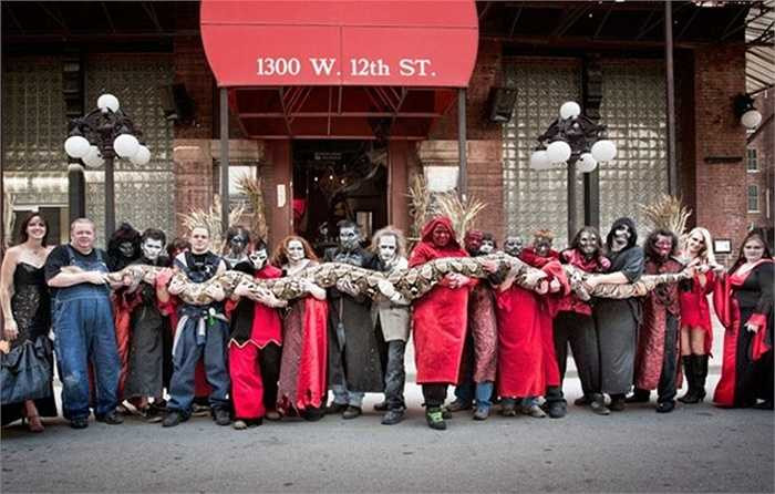 Kỷ lục về loài trăn gấm khổng lồ được sách Guiness công nhận là con trăn gấm có tên Medusa ở Kansas, bang Missouri nước Mỹ. Ở thời điểm tháng 10.2011, người ta đo được chiều dài của nó là 7,67m và giữ kỷ lục con rắn còn sống dài nhất thế giới. 