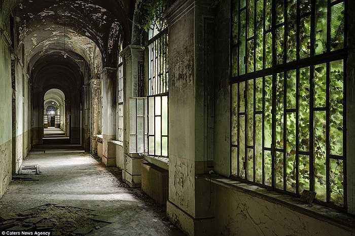 Hành lang hoang toàn của tòa nhà sau gần 40 năm bỏ hoang