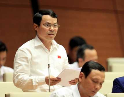 Đại biểu Nguyễn Tiến Sinh (Hòa Bình) 