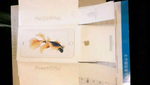 Hình ảnh chú cá chép Koi xuất hiện trên hộp đựng của sản phẩm được cho là iPhone 6S Plus Hình ảnh chú cá chép Koi xuất hiện trên hộp đựng của sản phẩm được cho là iPhone 6S Plus