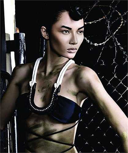 (Nguồn: Dân Việt)