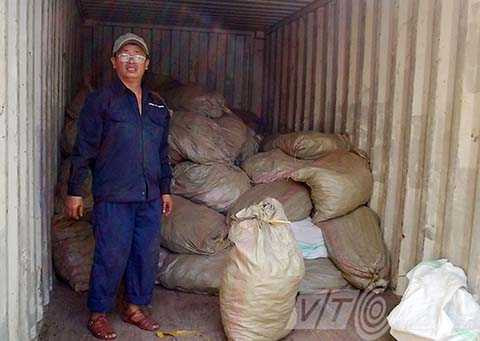 ngà voi, sừng tê giác, vảy tê tê, nhập khẩu, buôn lậu, hàng quốc cấm, cảng Đà Nẵng, Hải quan, công an, thưởng nóng