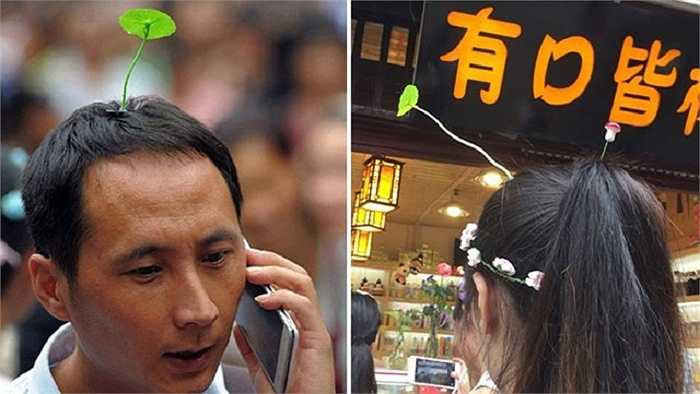 Ở bất cứ đâu trên đường phố Bắc Kinh, người ta cũng có thể bắt gặp hình ảnh 'cây con mọc trên đầu' người từ trẻ nhỏ đến người lớn