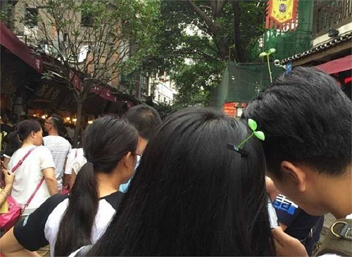 Mỗi chiếc kẹp tóc này có giá khoảng 0.86 NDT(tương đương 3,000 đồng)