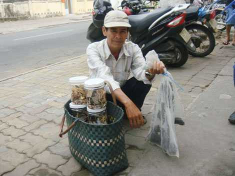 Rượu ngâm từ mối chúa. Rượu ngâm từ mối chúa.