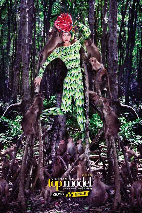 vietnam's next top model