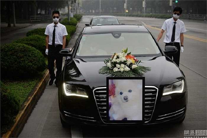 Họ sẽ tổ chức một đám tang trang nghiêm bao gồm cả phần tưởng niệm, hỏa táng và các nghi lễ khác cho thú cưng 'gia chủ'