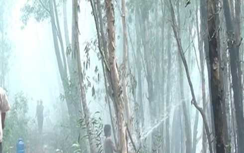 Đám cháy rừng tràm Đám cháy rừng tràm