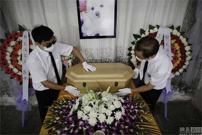 Một công ty ở Thượng Hải vừa cung cấp dịch vụ đám tang cho vật nuôi cưng trong nhà. Đám tang này gồm có các nghi lễ tưởng nhớ, xe Audi đưa thi thể đến nhà tang lễ