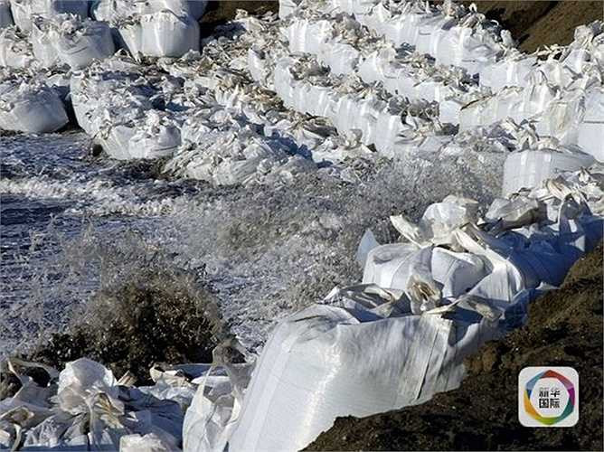 Theo các nhà khoa học dự đoán, tới năm 2025, mảnh đất này sẽ bị biến mất hoàn toàn do chìm xuống Bắc Băng Dương