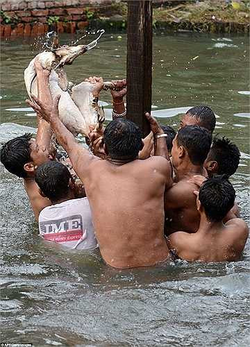Lễ hội Deopokhari được tổ chức thường niên vào tháng 8 ở Khokana, Kathmandu, Nepal. Tại đây, hàng chục người dân sẽ xé xác và dìm chết một con dê cái được lựa chọn làm vật tế thần