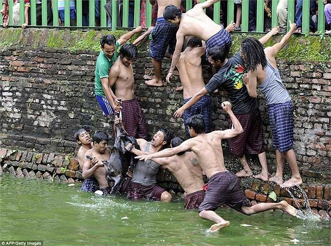 Lễ hội giết dê được tổ chức hàng năm và thường được cả làng tham gia chứng kiến