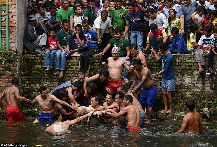 Thanh niên trai tráng sẽ là những người trực tiếp xuống nước để giết dê tế thần