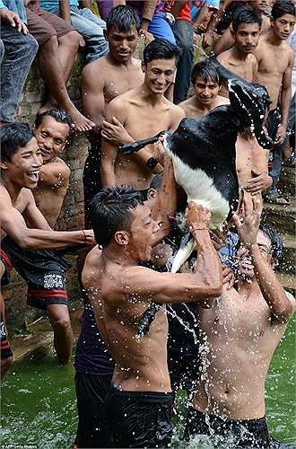 Vẻ mặt có phần sung sướng của những người tham gia vào sự kiện