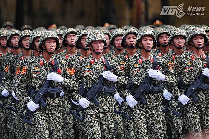 Trên các con phố khác tại Hà Nội, đoàn diễu binh đi qua trong sự hân hoan chào đón của người dân Thủ đô
