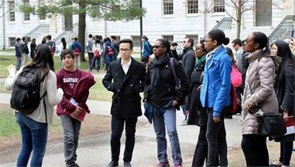 Trường Nam đã đạt được số điểm ấn tượng và giành học bổng tại 4 trường Đại học của Mỹ, trong đó có Đại học Harvard với chuyên ngành lập trình.